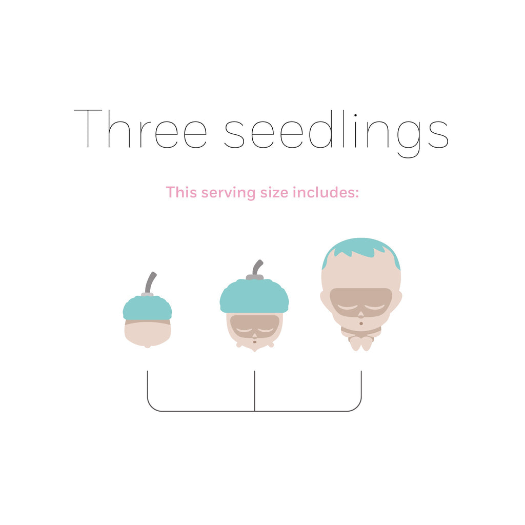 Harvest – Seedling Pack